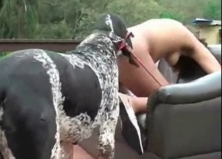 Hound in a bestiality sex scene