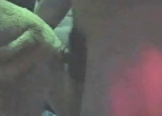 Animal gets fucked hard from behind